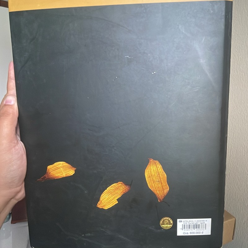 Bản đặc biệt năm 2011 khổ lớn THƯ TÌNH GỬI MỘT NGƯỜI - TRỊNH CÔNG SƠN (28) 194294