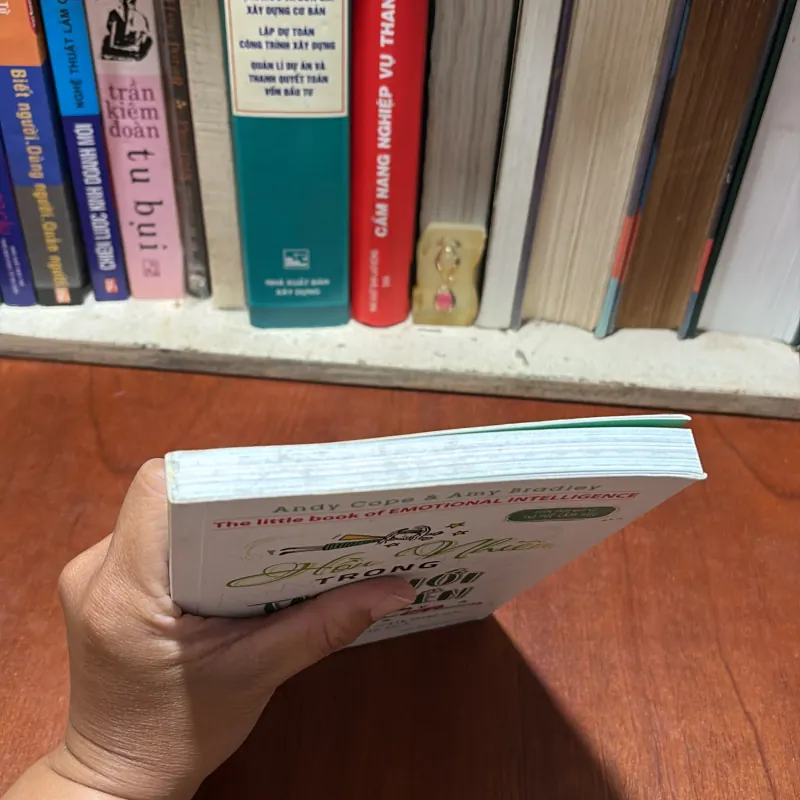 II Trí Tuệ Cảm Xúc: Hồn Nhiên Trong Thế Giới Đảo Điên - ANDY COPE, AMY BRADLEY - 2017 791040