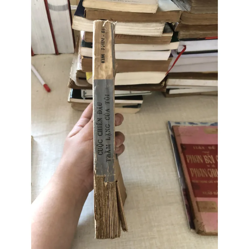 Cuộc chiến đấu thầm lặng của tôi 973901