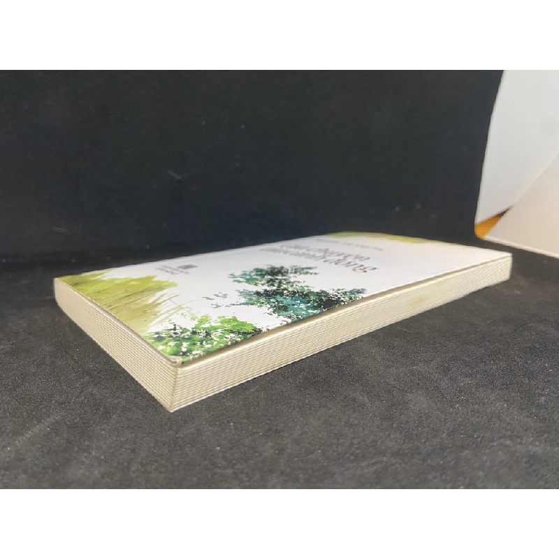 Câu chuyện của cánh đồng Mới 90% SBM2212 450664