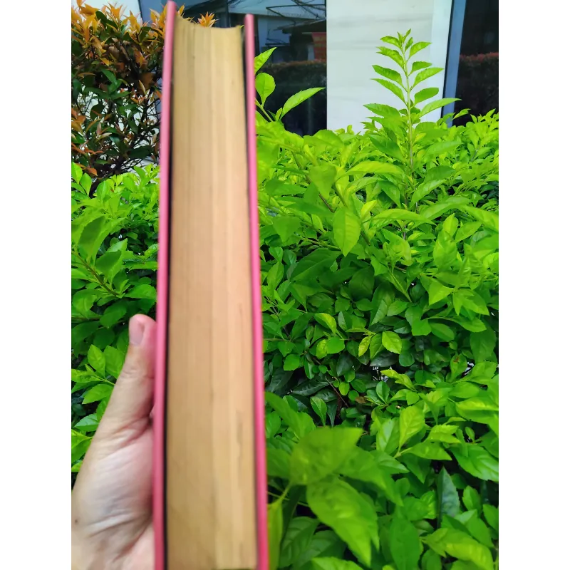 Kieu de Nguyen Du 960887