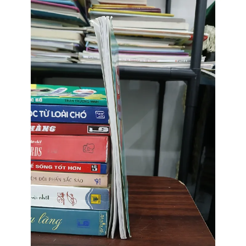 Những món quà vô giá – Mai Hương, Vĩnh Thắng 576146