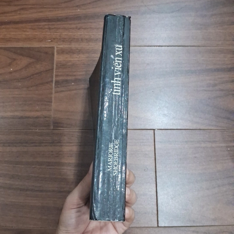 Tình viễn xứ 506181