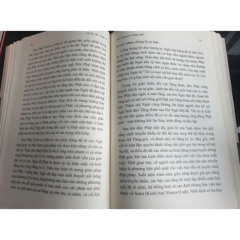 Cội Bồ Đề - Dr. Peter Della Santina 1028244