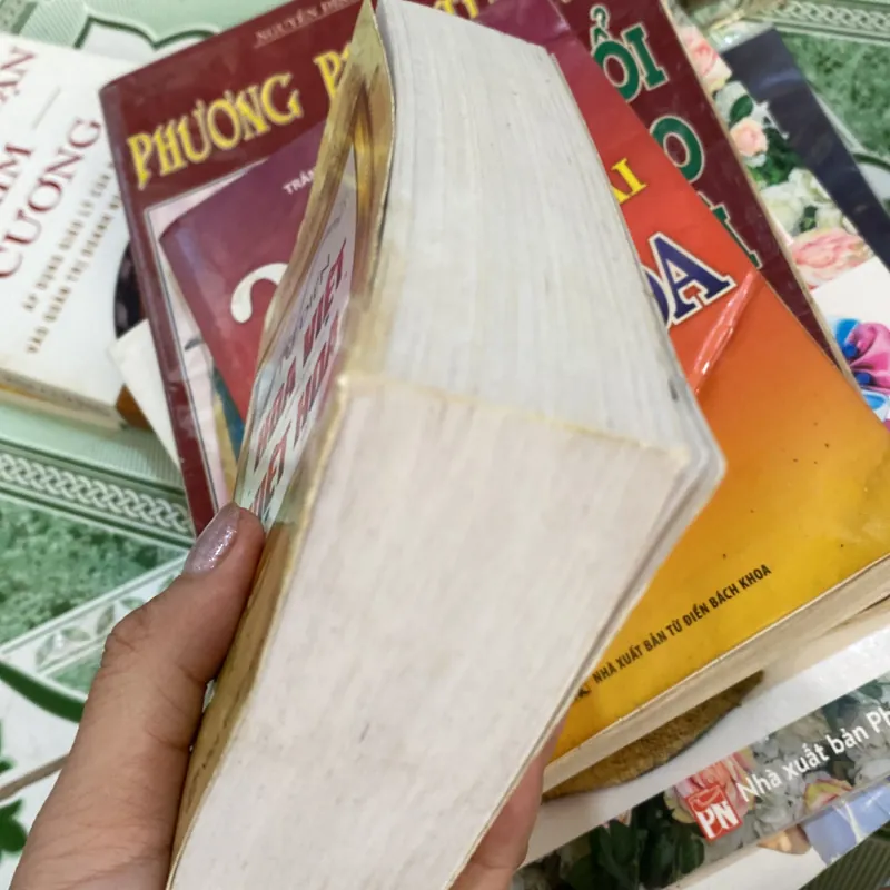 Từ điển hoa việt  751971