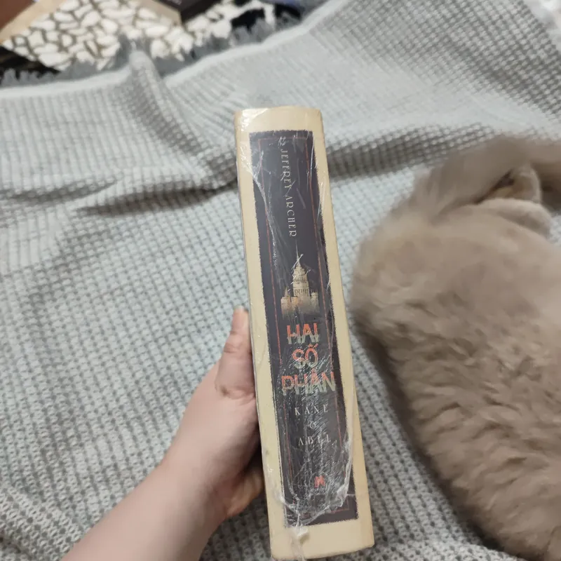 Hai số phận bìa cứng 736292