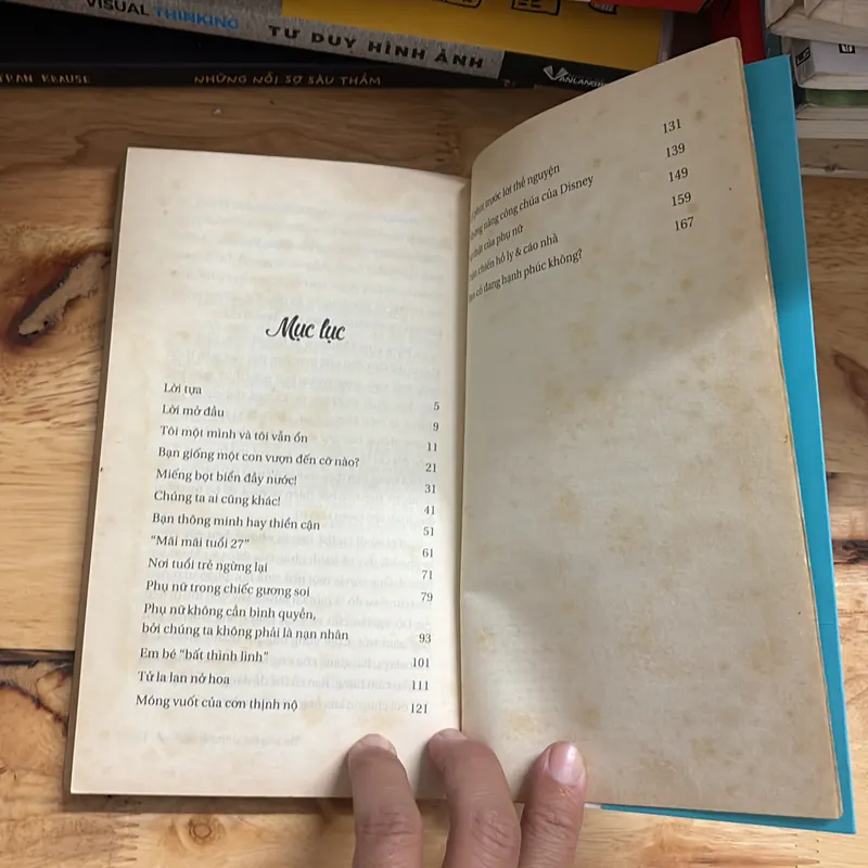 II Tựa sách: Hoa Xương Rồng Nở Trên Giày Cao Gót - Khánh Linh - 2015 695672