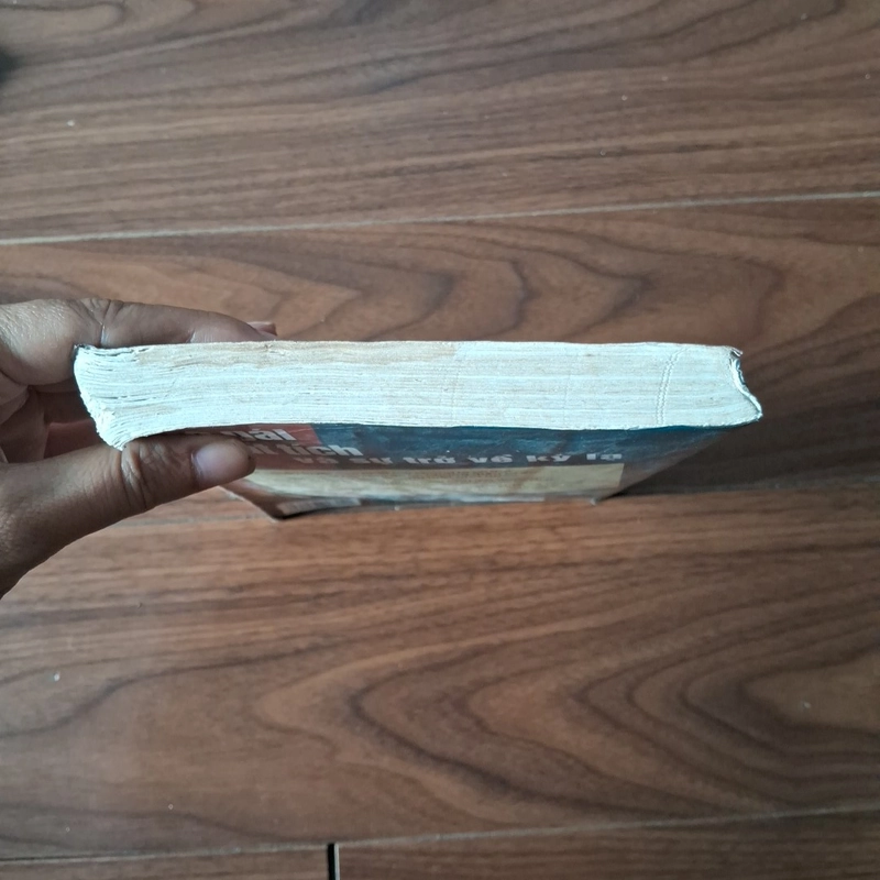 Cô gái mất tích và sự trở về kì lạ 524994