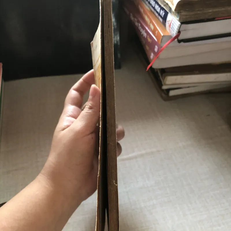 Ngô Gia Tự người cộng sản lỗi lạc-Thế Văn 971355