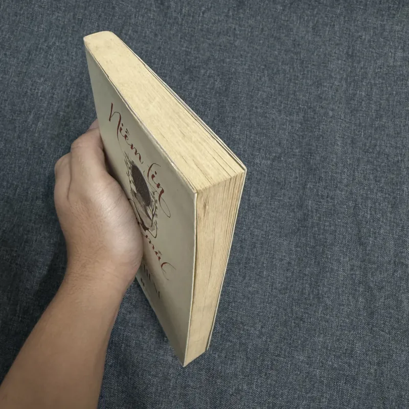 Niềm tin chưa mất (Tập truyện ngắn) - Võ Hồng 754364