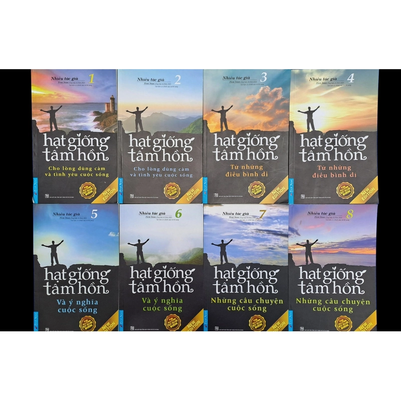Hạt giống tâm hồn (Bộ 16 cuốn) 465656