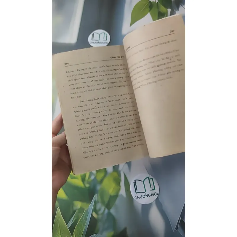 [XƯA] Cánh Bướm (1989) - Từ Kế Tường 997750