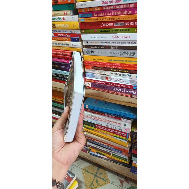 Hành Trình Tarot- Tada Project 606838