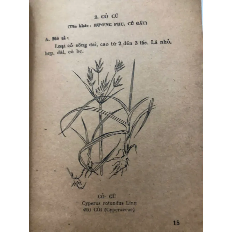 Cây thuốc và bài thuốc trị bảy bệnh thông thường – Nhiều tác giả 998411