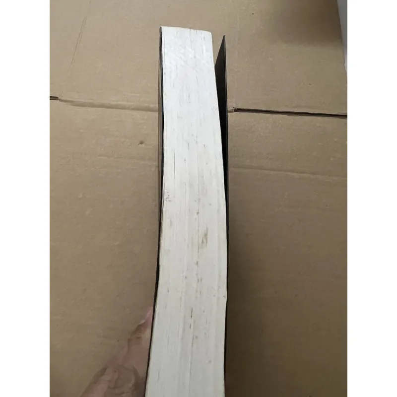 Warren Buffett Quá Trình Hình Thành Một Nhà Tư Bản Mỹ 740174