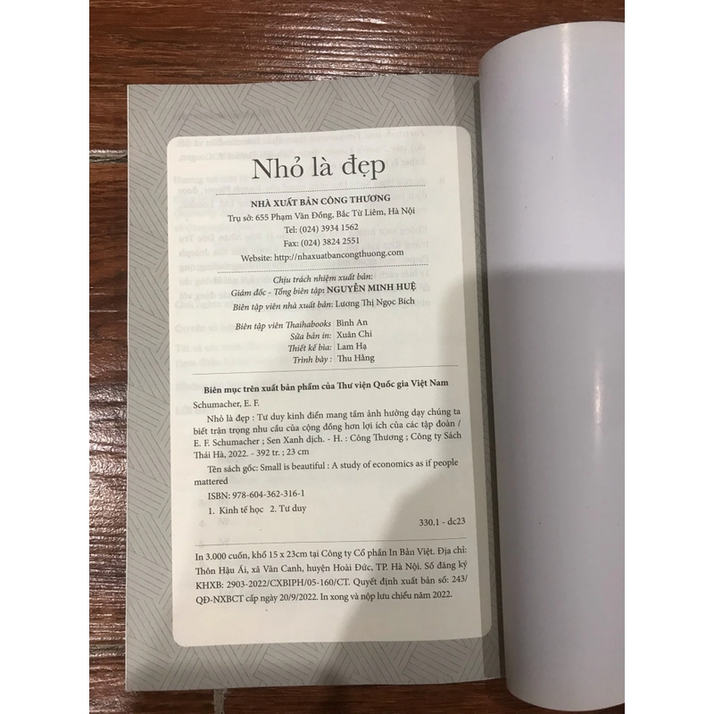 NHỎ LÀ ĐẸP - E. F. SCHUMACHER (k4) 528999