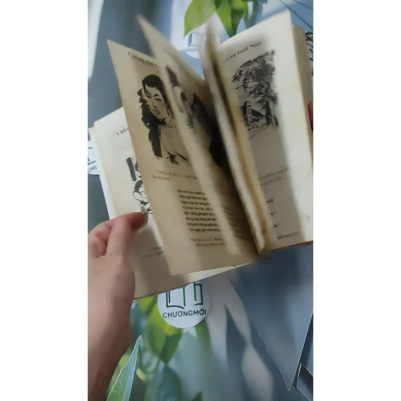 Cao Ly Đầu Hình 928568