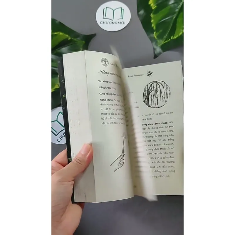 [MIỄN PHÍ BỌC SÁCH] Năng Lượng Từ Thảo Mộc - Paige Vanderbeck 604646