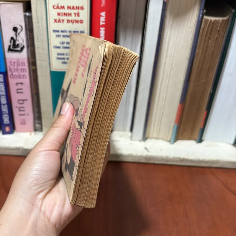 II Văn Học Kinh Điển: Không Gia Đình (Tập 2) - HÉCTO MALÔ - 1986 777318