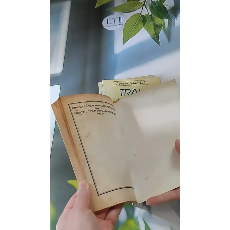 Trọn bộ Trại hoa vàng (4 tập) 607740