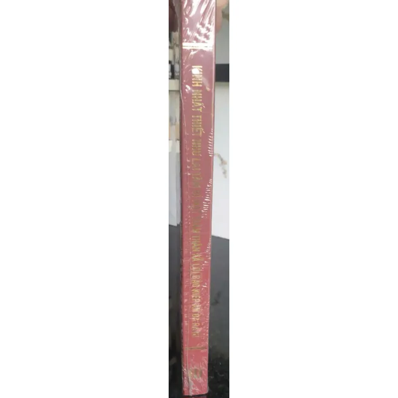 Kinh Nhất Thiết Như Lai Tâm Bí Mật Toàn Thân Xá Lợi Bảo Kiếp Ấn Đà Ra Ni 688776