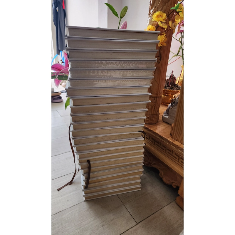 Black Jack bìa cứng  509083