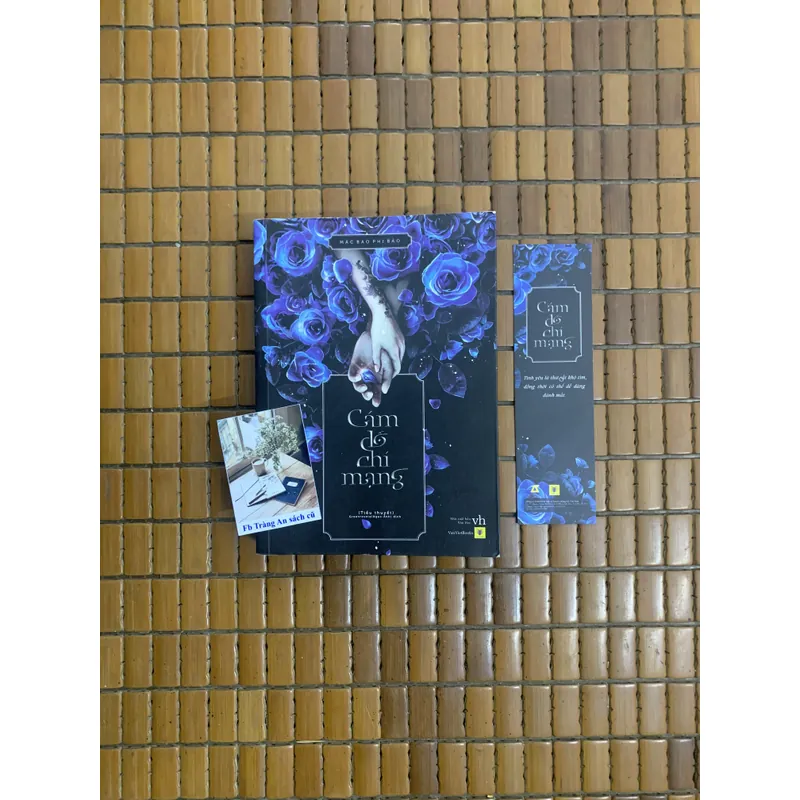 Cám dỗ chí mạng Mặc Bảo Phi Bảo 738818