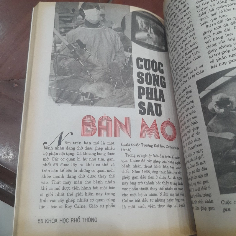 KHOA HỌC PHỔ THÔNG phụ san số 295 tháng 11-1995 459261