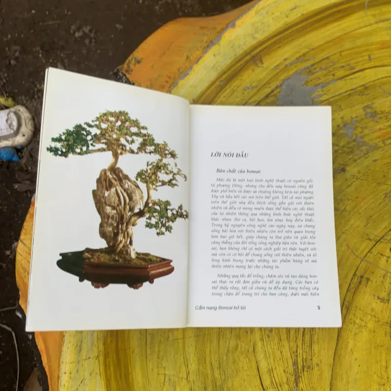 CẨM NANG BONSAI BỎ TÚI - DAVID PRESCOTT & COLIN LEWIS 759679