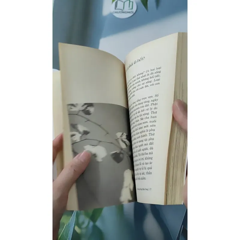 Tâm Sáng Dung Mạo Sáng - Thích Giác Hiếu 928541