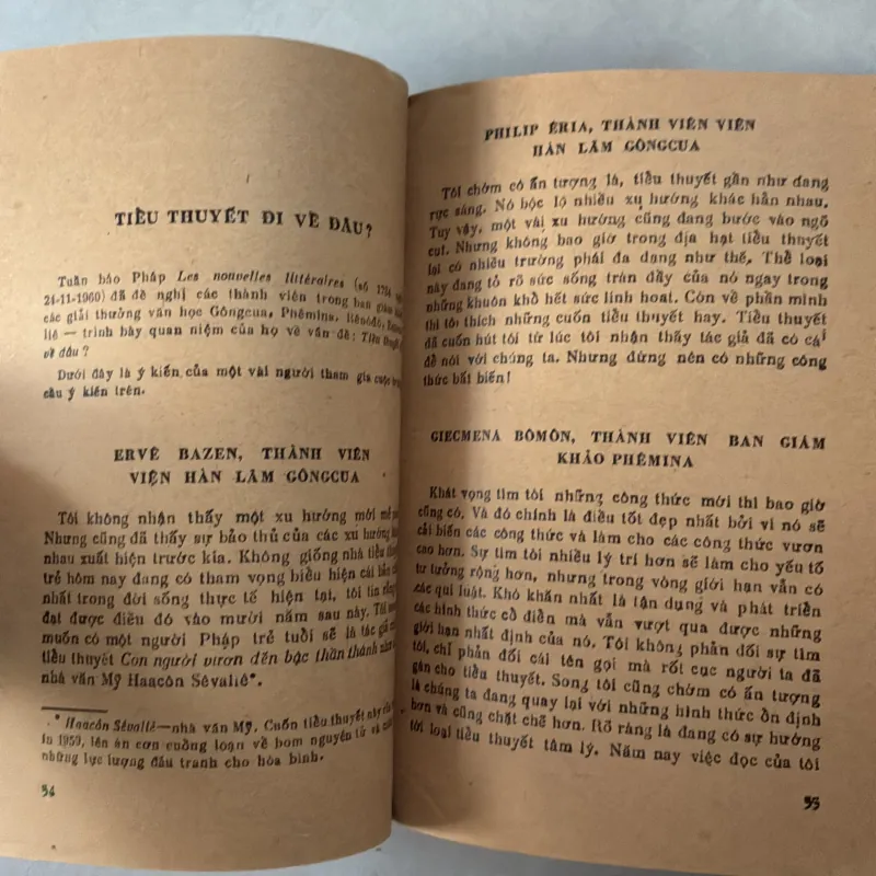 Số phận của tiểu thuyết  796971