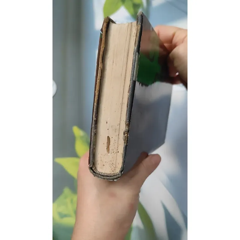 [MIỄN PHÍ BỌC SÁCH] Mordern Kazakh Stories: The Voice Of The Steppe - Isaak Kramov 749409