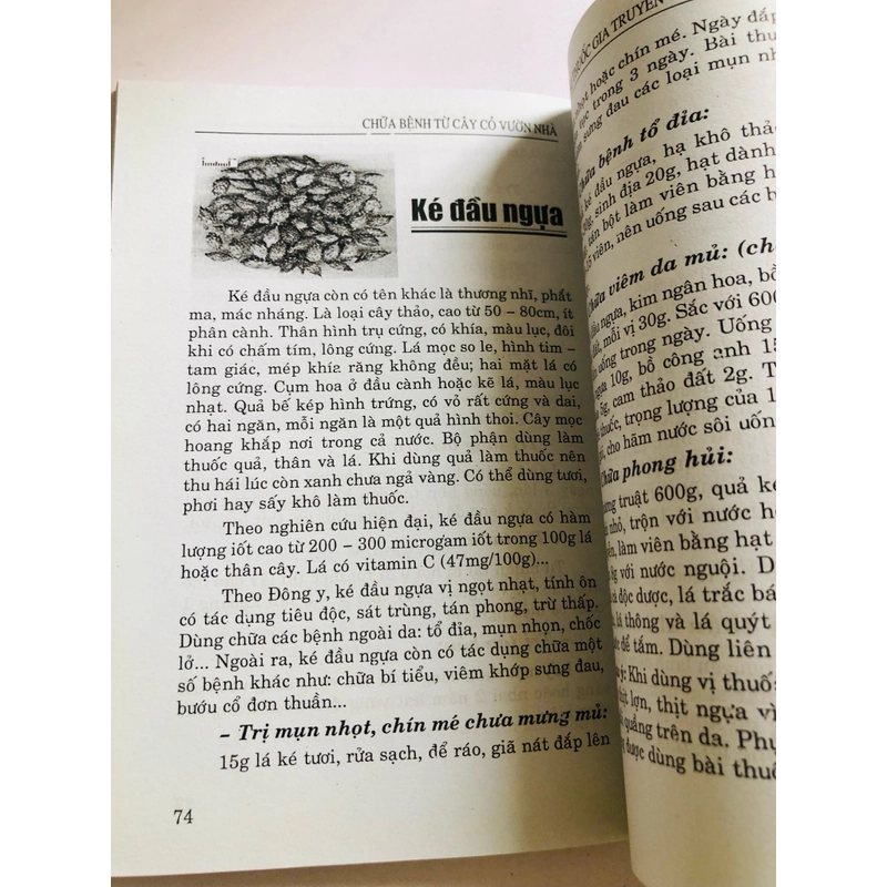 📗 CHỮA BỆNH TỪ CÂY CỎ VƯỜN NHÀ & BÀI THUỐC GIA TRUYỀN – Lương y Quách Văn Minh  482482