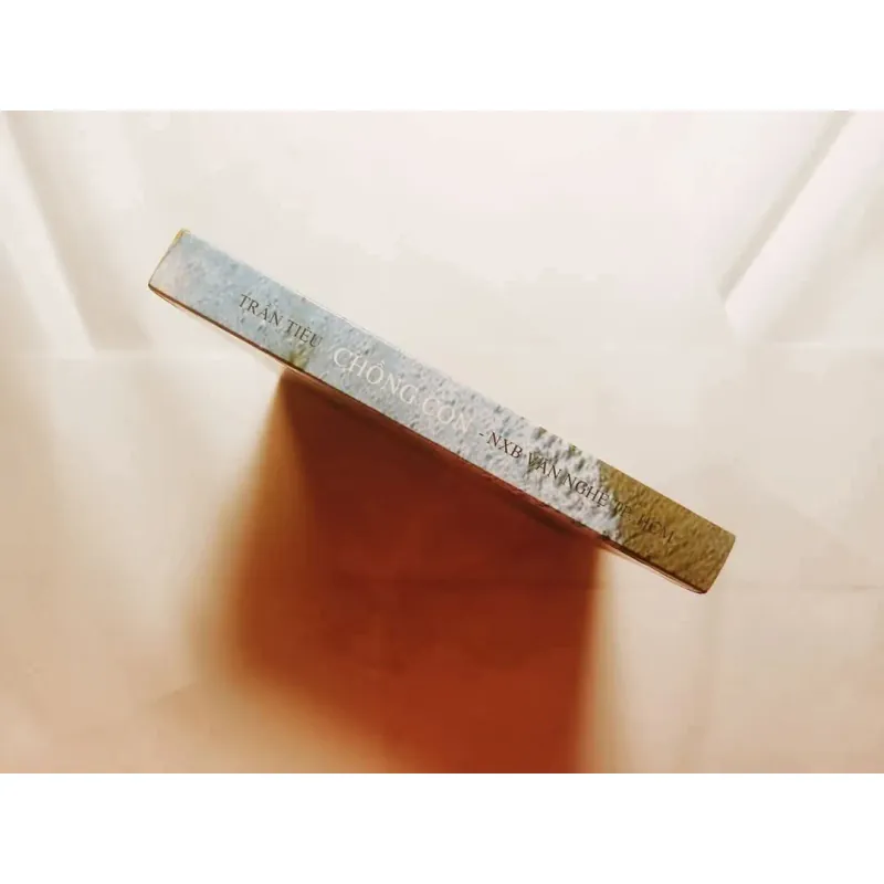 Chồng Con - Trần Tiêu 777163