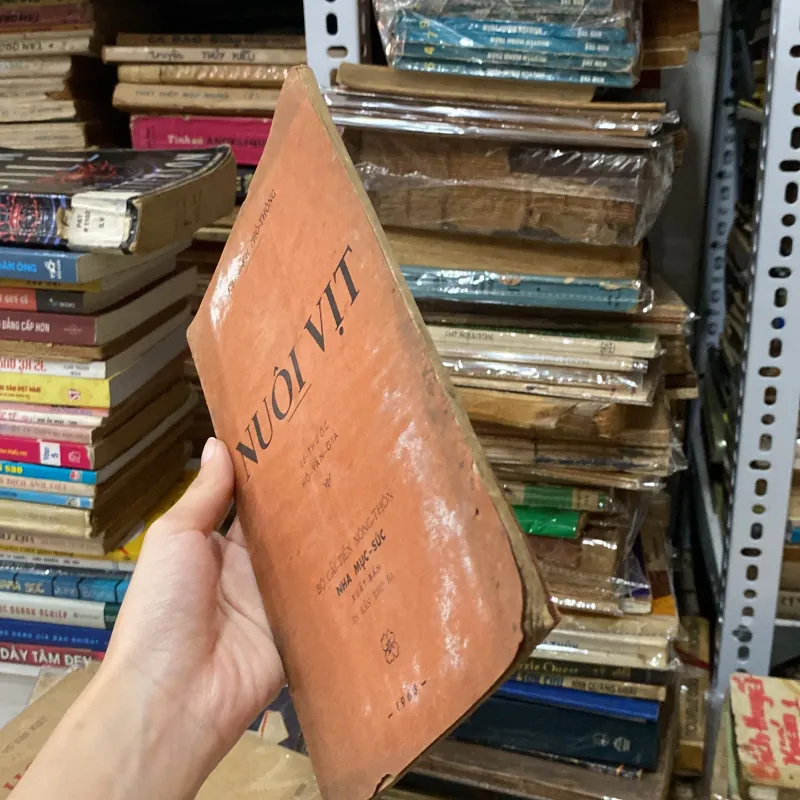 Nuôi Vịt♟️ 934968