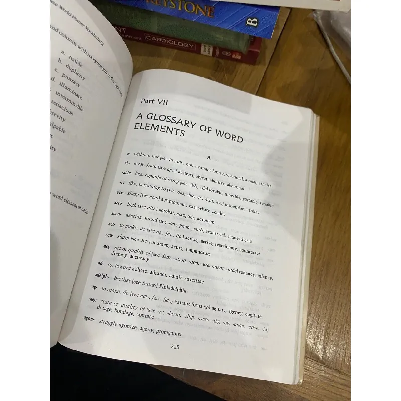 Power Vocabulary - Elizabeth Morse 560808