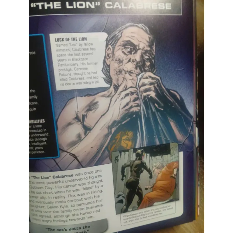 Batman Character Encyclopedia (NXB DK 1005956