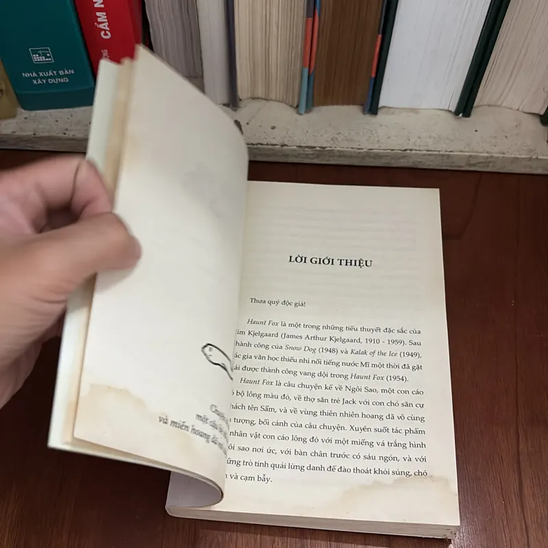 II Văn Học Thiếu Nhi: Ngôi Sao _ Ma Cáo Lừng Danh - Jim Kjelgaard - ROGER VU (Dịch) - 2019 709234