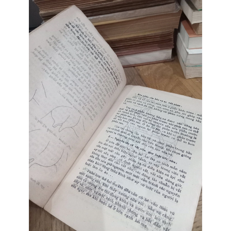 Nuôi bò sữa ở gia đình - GS. Trần Nhơn 781033