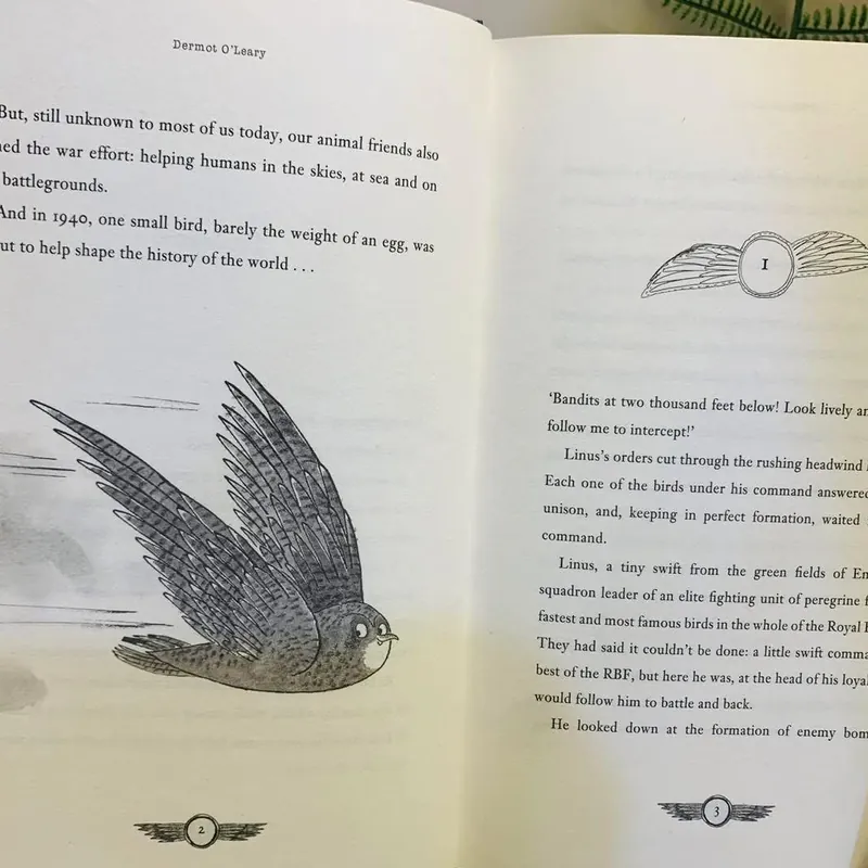 🤩 Wings of Glory – Dermot O’Leary 571127