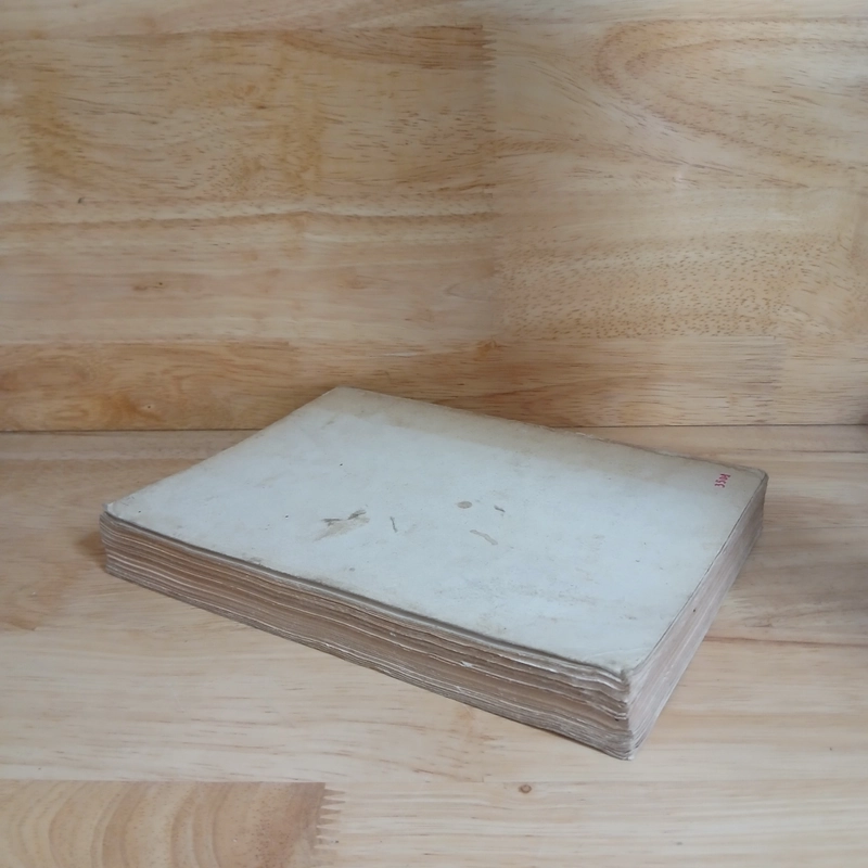 Chăm Sóc Sức Khỏe (Xb 1987) - David Werner 552957