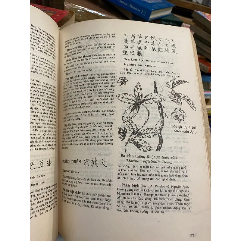 Danh từ Dược học Đông y - Lê Quý Ngưu, Trần Thị Như Đức 718384