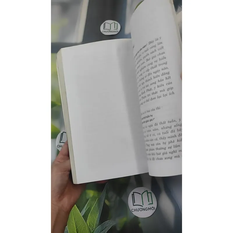 Niệm Phật Thập Yếu - HT. Thích Thiền Tâm 1018903