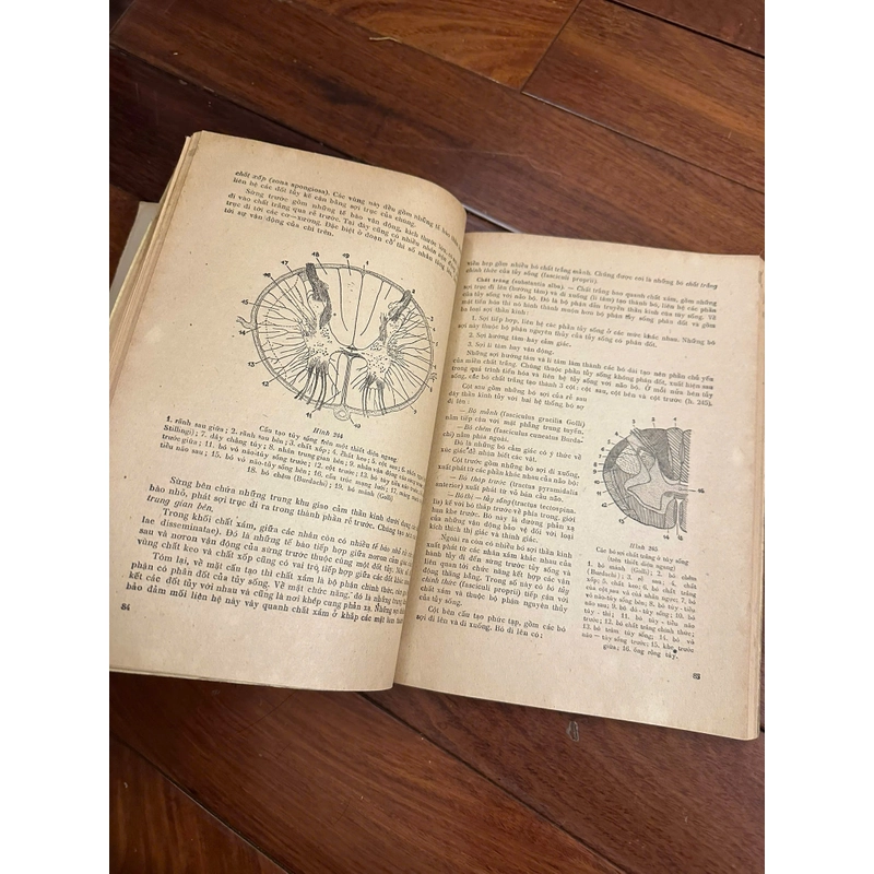 Giải phẫu người (trọn bộ 2 tập) 551684