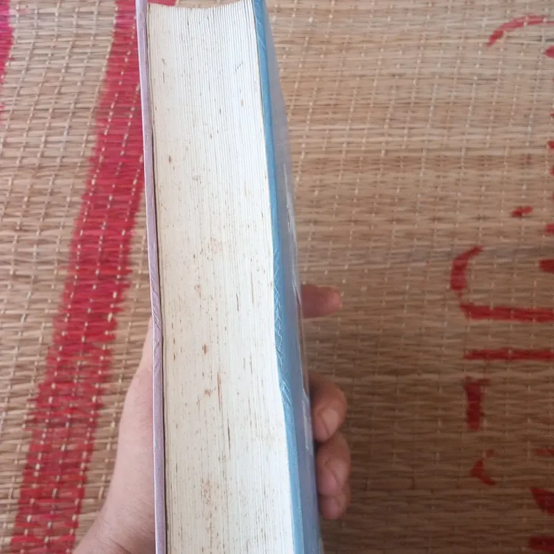 Giao Thừa Năm 2000 Những sắc màu thế kỷ 1019281