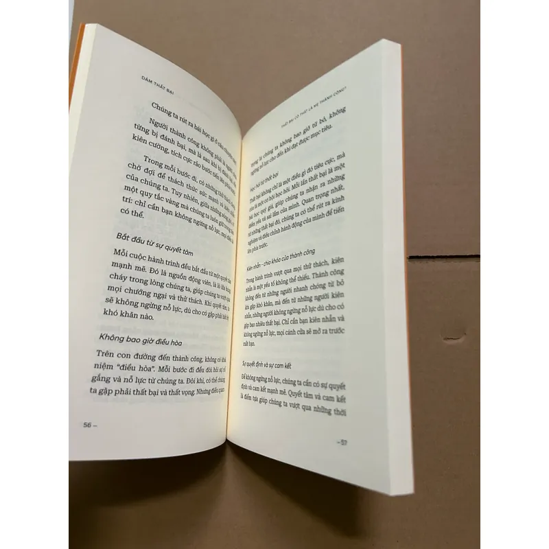 Dám thất bại - Nguyễn Anh Dũng 708877