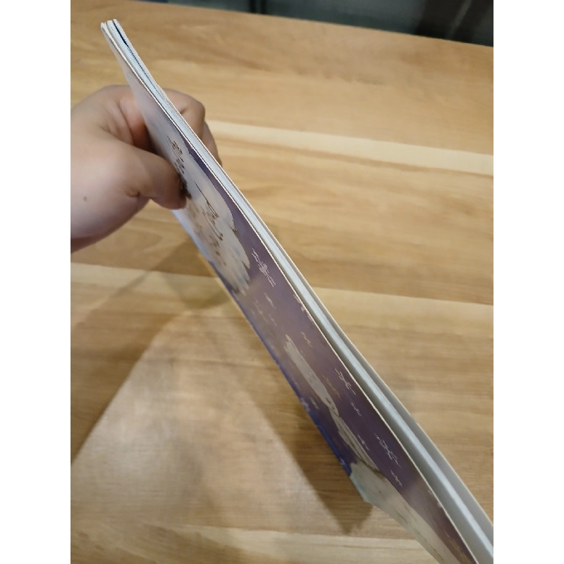 The Polar Bear and the Snow Cloud 973363