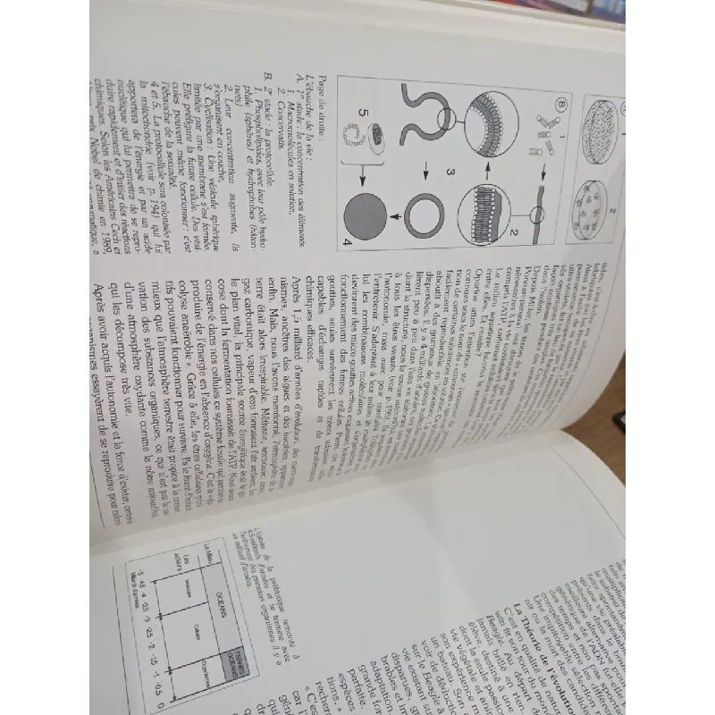 L'Aventure de La Medecine - Philippe Gorny 593041