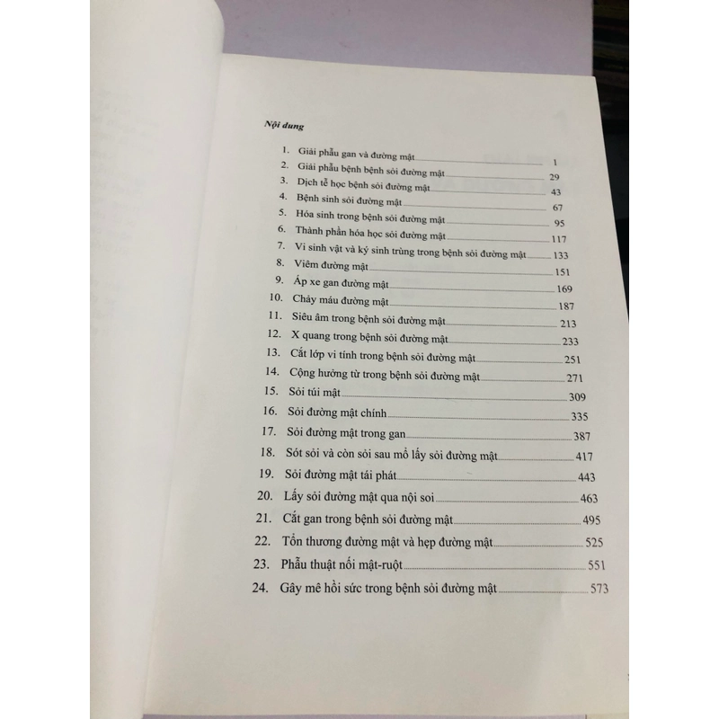📚 SỎI ĐƯỜNG MẬT – Nguyễn Đình Hối, Nguyễn Mậu Anh 539457