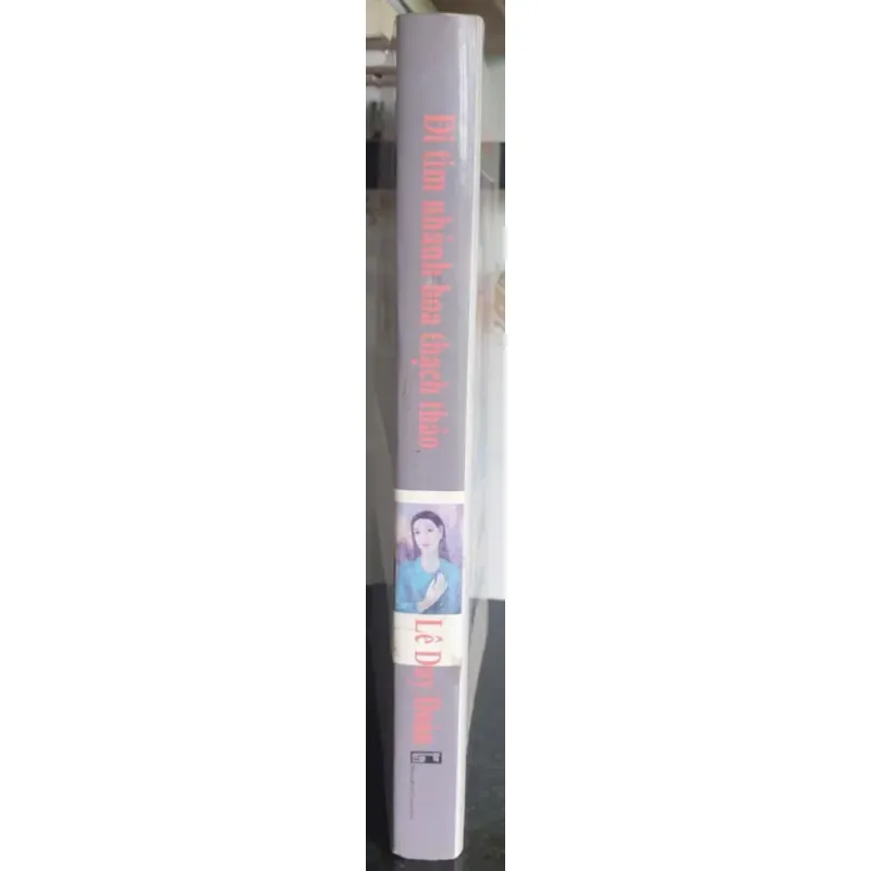 Đi Tìm Nhành Hoa Thạch Thảo 694440